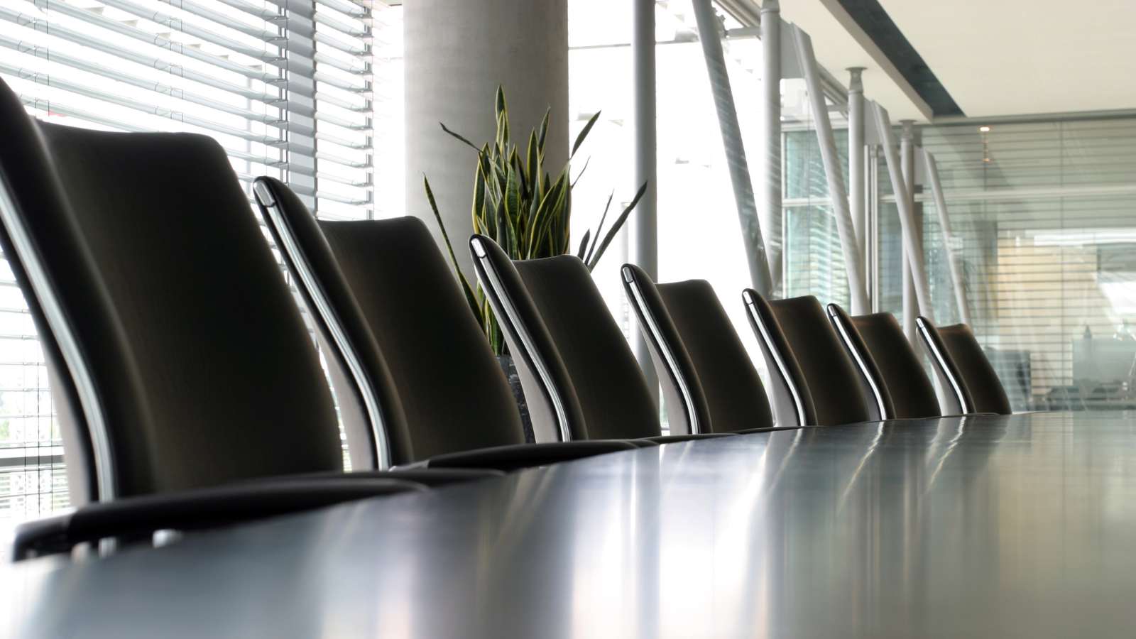 Chairs in a boardroom