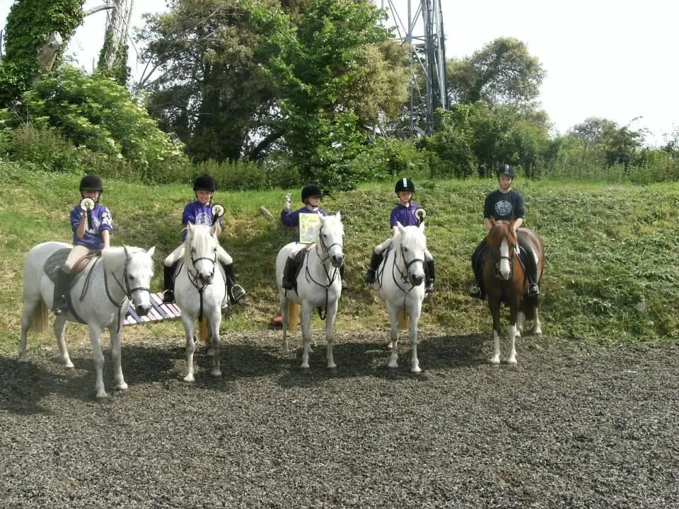 Children riding ponies