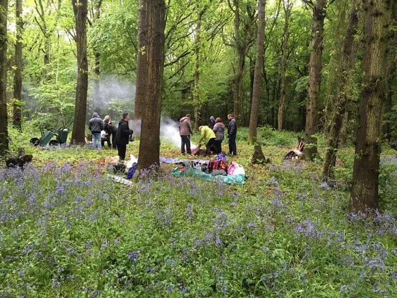involve-active-woodland