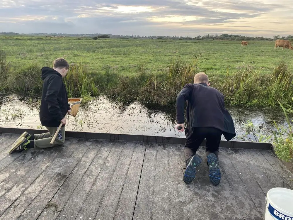 waveney deaf childrens society pond dipping day out